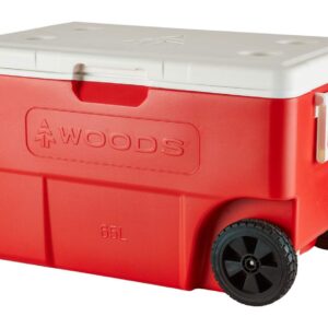 Battery World