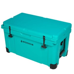 Battery World