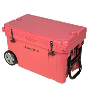 Battery World